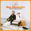 Wellington Sea Shanty Society