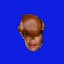 Ganger