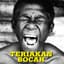 Kelompok penerbang roket
