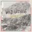 Wild Nothing