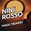Nini Rosso