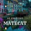 MATECAT