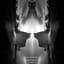 Cold Fusion
