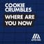 Cookie Crumbles