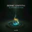 Sonic Entity