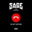 Sage The Gemini