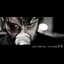 Moderatto