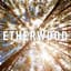 Etherwood