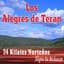 Los Alegres De Teran