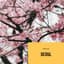 Infraction Music