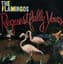 The Flamingos