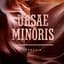 Ursae Minoris
