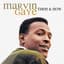 Marvin Gaye
