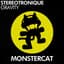 Stereotronique
