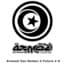 Armand van Helden