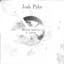 Josh Pyke