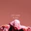 Pink Laundry