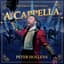 Peter Hollens