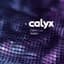 Calyx