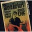 Steve Forbert