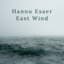 Hannu Esaer
