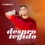 Davizinho