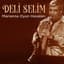Deli Selim