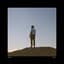 Dotan