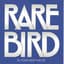 Rare Bird
