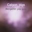 Calgon_pigs