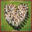 Love Unlimited Orchestra