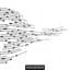 Rainbirds