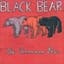 Black Bear