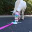 Unicorn On Ketamine