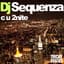 DJ Sequenza