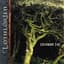 Lothlorien