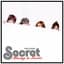 시크릿