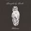 Trampled by Turtles