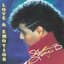 Stevie B