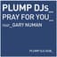 Plump DJs