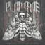Plantrae