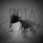 Rota