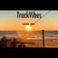 TrackVibes