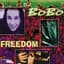 DJ Bobo