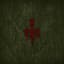 Wardruna