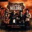 João Nelore & Texano