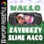 Wallo2k