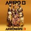 Afro B