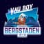 Vau Boy