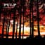 Pulp